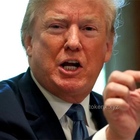欧盟筹谋反制：应对美国关税的策略与影响